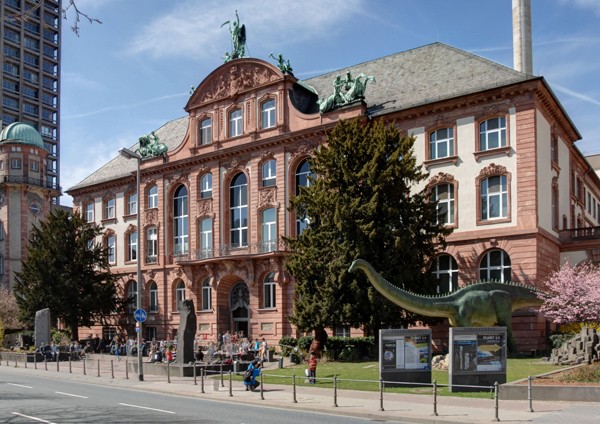 #AUFMACHER# Senckenberg Naturmuseum Frankfurt