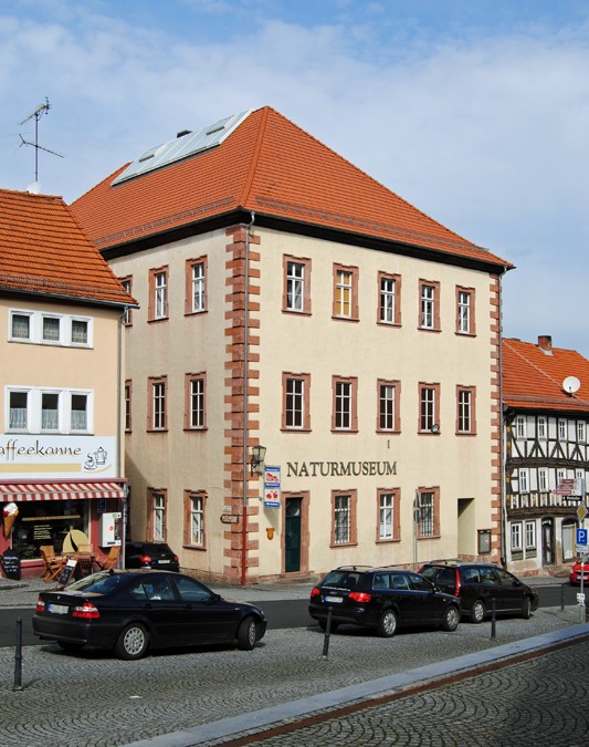 #AUFMACHER# Naturmuseum Tann (Rhön)