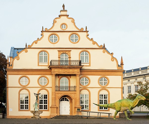 #AUFMACHER# Naturkundemuseum der Stadt Kassel