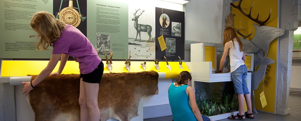 Hofgeismar-Beberbeck_EG sababurg_04_KQ.jpg