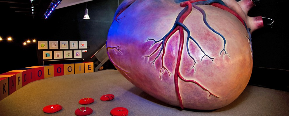 Fulda_KAF_Begehbares Herz_coyp KAF_Fotograf Andreas Reeg_KQ.jpg