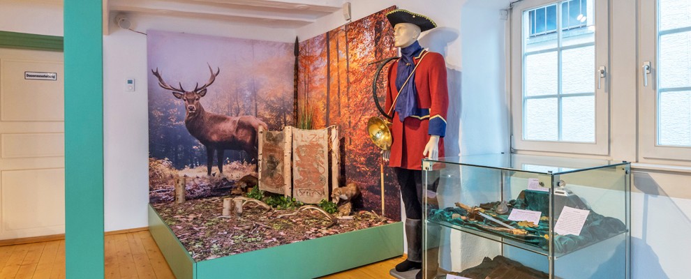 Bickenbach_Waldszene_Foto von Christoph Rau_IN.jpg