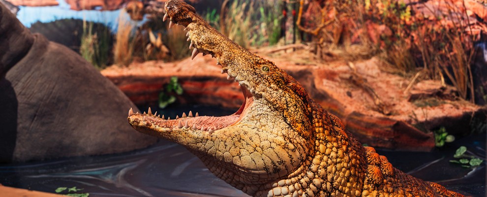 Kassel_Natur_Mistviecher_Raum_Fiona Körner_390_IN1.jpg